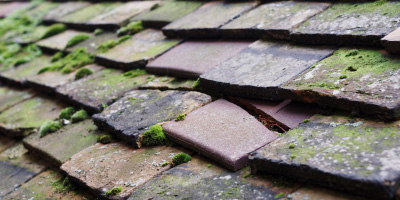 Wickham Bishops roof repair costs
